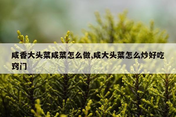 咸香大头菜咸菜怎么做,咸大头菜怎么炒好吃窍门