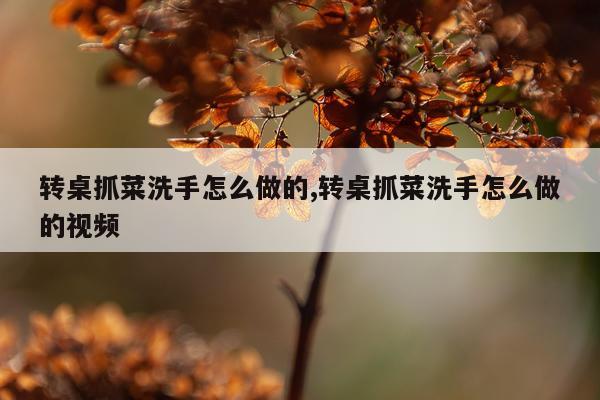 转桌抓菜洗手怎么做的,转桌抓菜洗手怎么做的视频