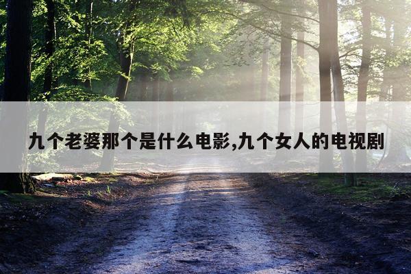 九个老婆那个是什么电影,九个女人的电视剧