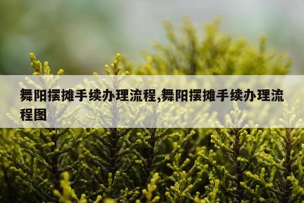 舞阳摆摊手续办理流程,舞阳摆摊手续办理流程图