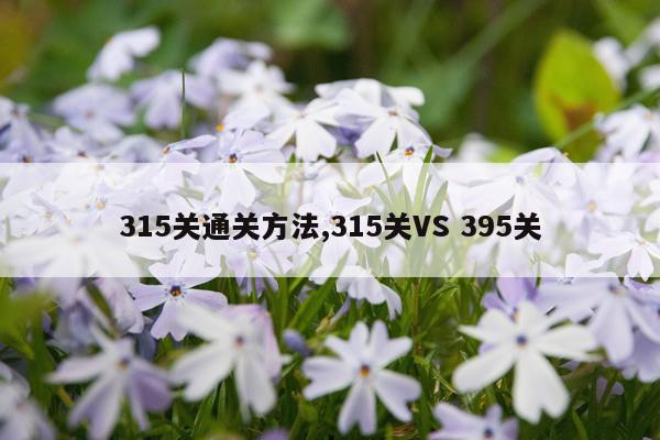 315关通关方法,315关VS 395关