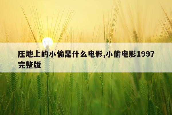 压地上的小偷是什么电影,小偷电影1997完整版