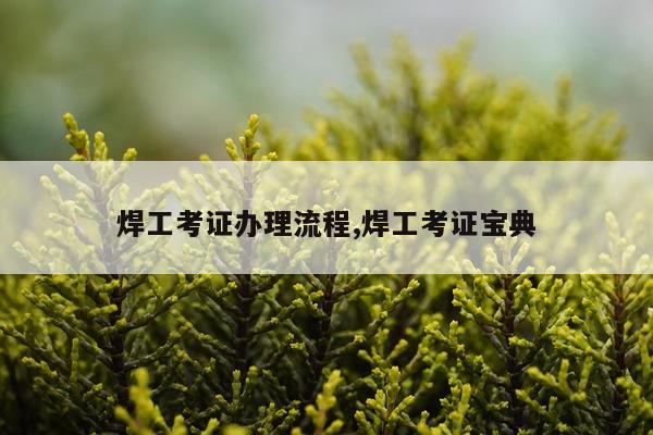 焊工考证办理流程,焊工考证宝典