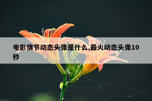 电影情节动态头像是什么,最火动态头像10秒
