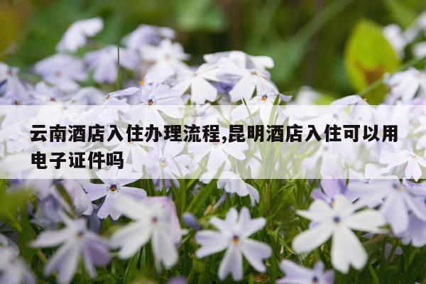 云南酒店入住办理流程,昆明酒店入住可以用电子证件吗