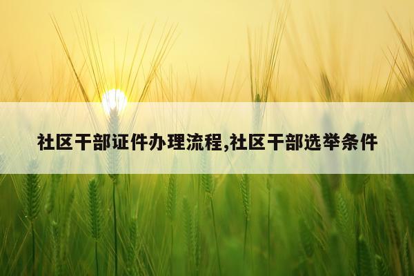 社区干部证件办理流程,社区干部选举条件