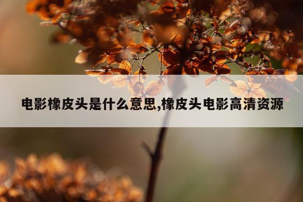 电影橡皮头是什么意思,橡皮头电影高清资源