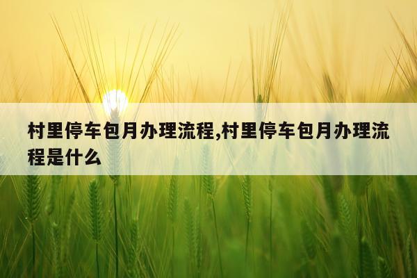 村里停车包月办理流程,村里停车包月办理流程是什么