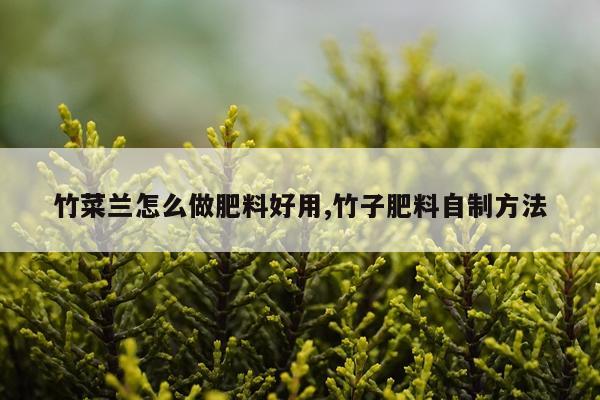 竹菜兰怎么做肥料好用,竹子肥料自制方法