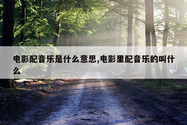电影配音乐是什么意思,电影里配音乐的叫什么