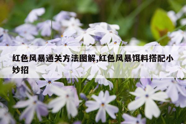 红色风暴通关方法图解,红色风暴饵料搭配小妙招