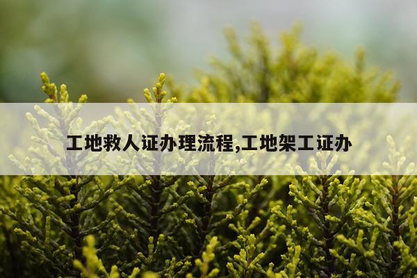 工地救人证办理流程,工地架工证办
