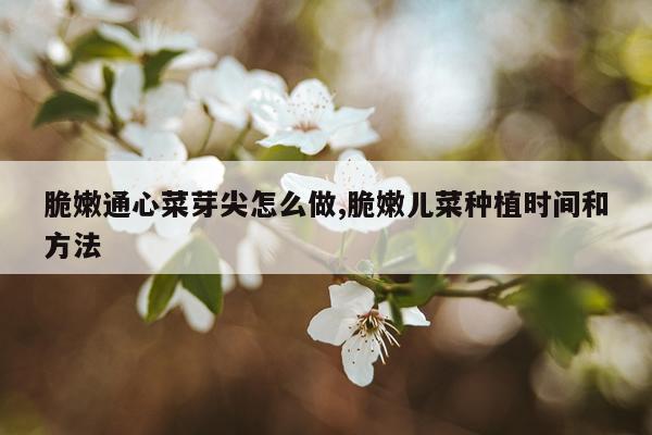 脆嫩通心菜芽尖怎么做,脆嫩儿菜种植时间和方法