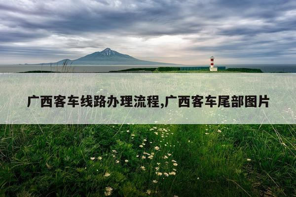 广西客车线路办理流程,广西客车尾部图片