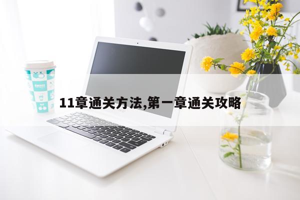 11章通关方法,第一章通关攻略