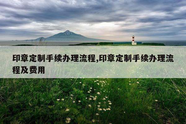 印章定制手续办理流程,印章定制手续办理流程及费用