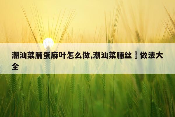 潮汕菜脯蛋麻叶怎么做,潮汕菜脯丝粿做法大全