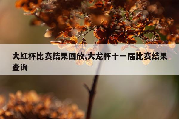 大红杯比赛结果回放,大龙杯十一届比赛结果查询