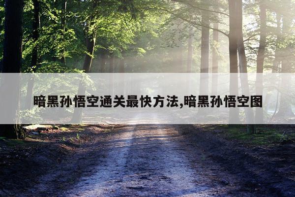 暗黑孙悟空通关最快方法,暗黑孙悟空图