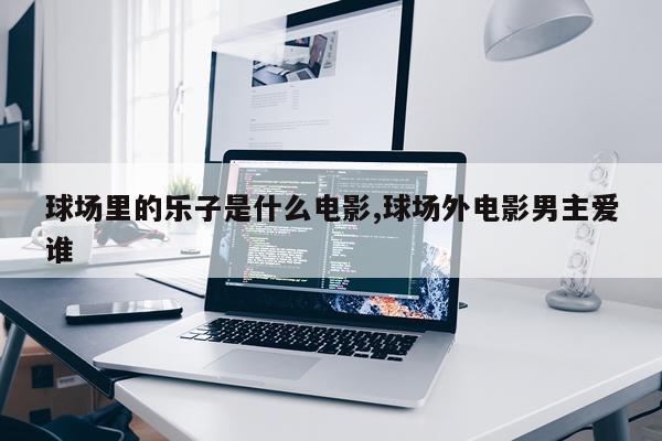 球场里的乐子是什么电影,球场外电影男主爱谁