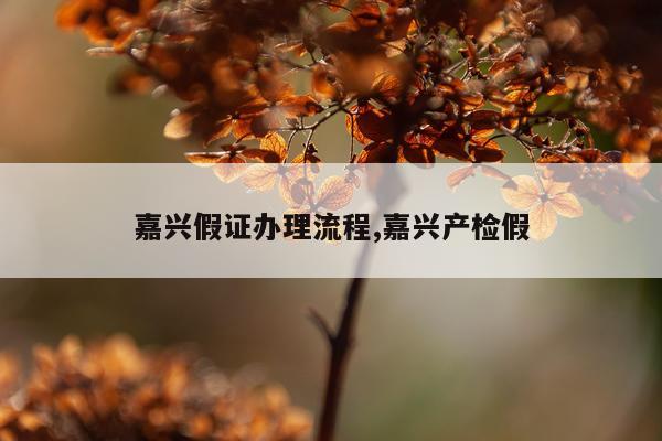 嘉兴假证办理流程,嘉兴产检假