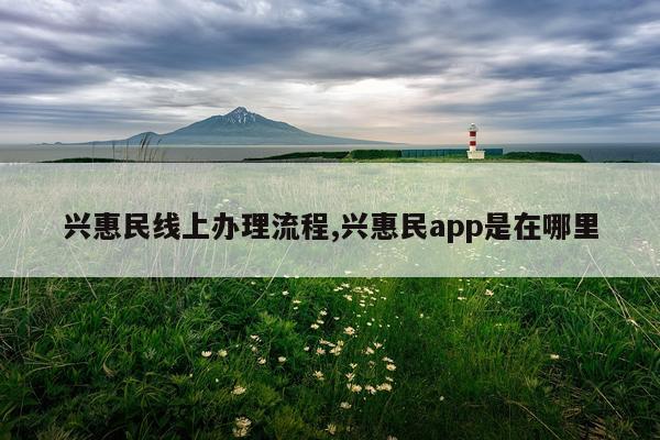 兴惠民线上办理流程,兴惠民app是在哪里