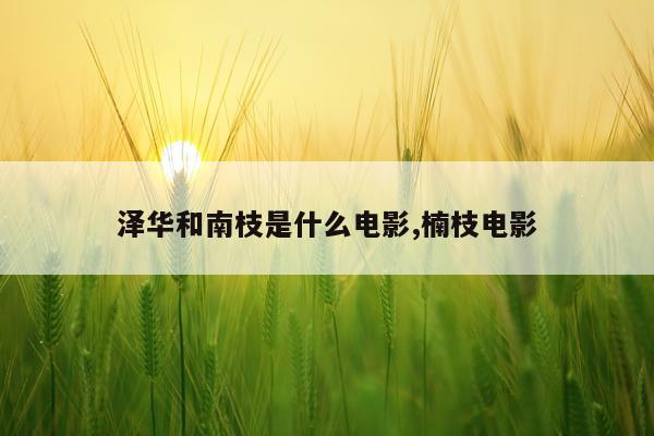 泽华和南枝是什么电影,楠枝电影