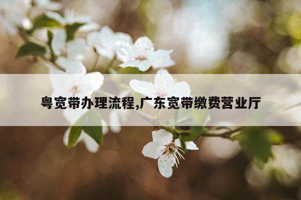 粤宽带办理流程,广东宽带缴费营业厅