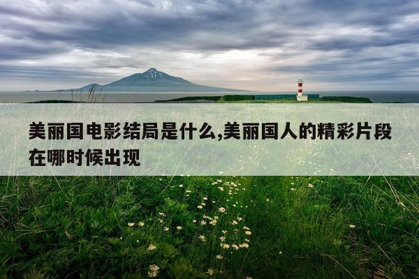 美丽国电影结局是什么,美丽国人的精彩片段在哪时候出现