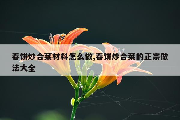 春饼炒合菜材料怎么做,春饼炒合菜的正宗做法大全