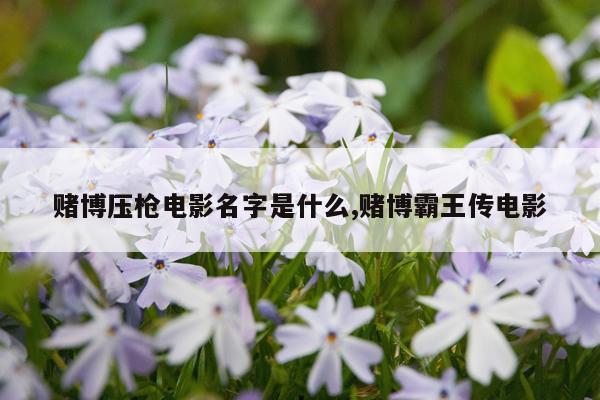 赌博压枪电影名字是什么,赌博霸王传电影