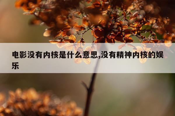 电影没有内核是什么意思,没有精神内核的娱乐