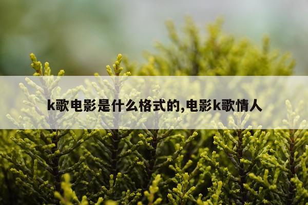 k歌电影是什么格式的,电影k歌情人