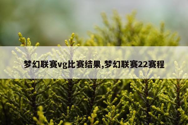 梦幻联赛vg比赛结果,梦幻联赛22赛程