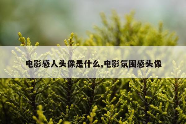 电影感人头像是什么,电影氛围感头像