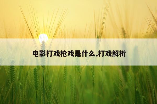 电影打戏枪戏是什么,打戏解析