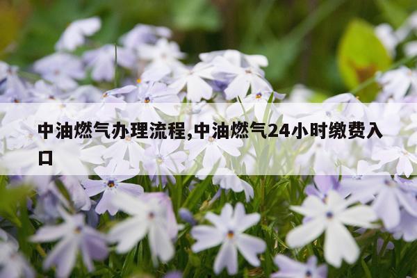 中油燃气办理流程,中油燃气24小时缴费入口