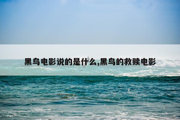 黑鸟电影说的是什么,黑鸟的救赎电影