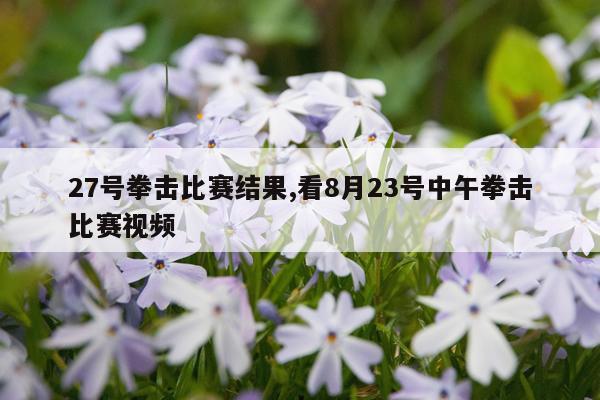 27号拳击比赛结果,看8月23号中午拳击比赛视频