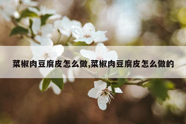 菜椒肉豆腐皮怎么做,菜椒肉豆腐皮怎么做的