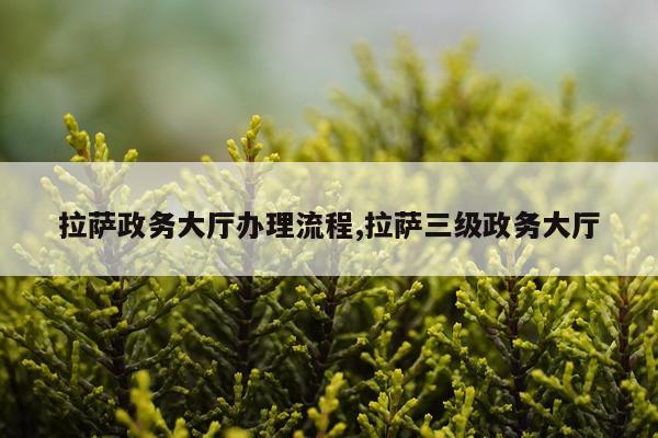拉萨政务大厅办理流程,拉萨三级政务大厅