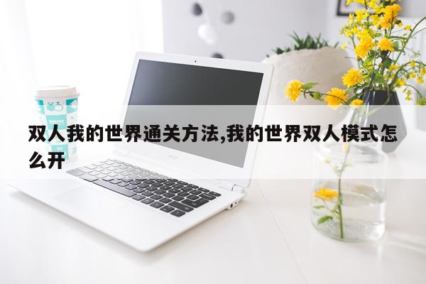 双人我的世界通关方法,我的世界双人模式怎么开