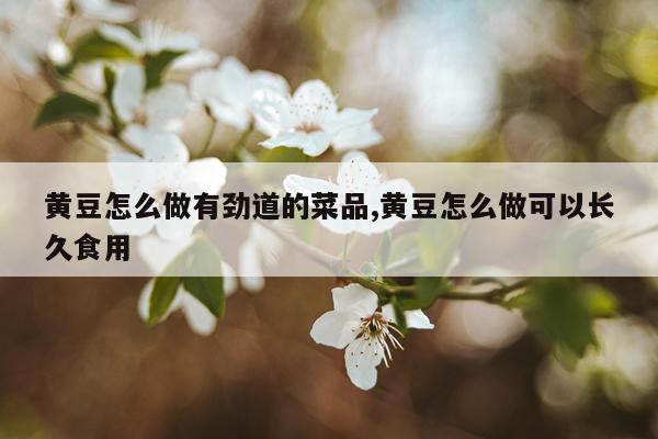 黄豆怎么做有劲道的菜品,黄豆怎么做可以长久食用