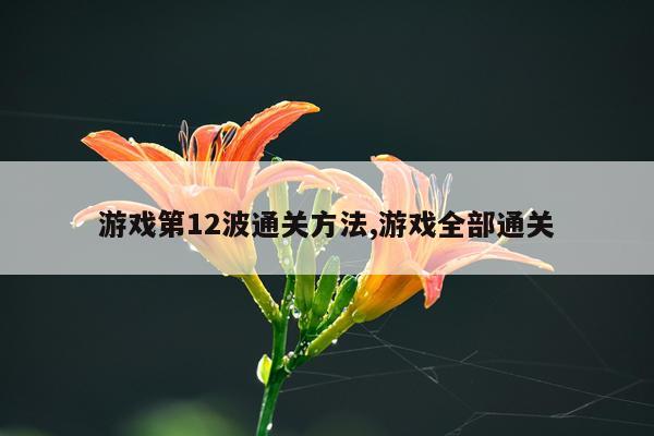 游戏第12波通关方法,游戏全部通关