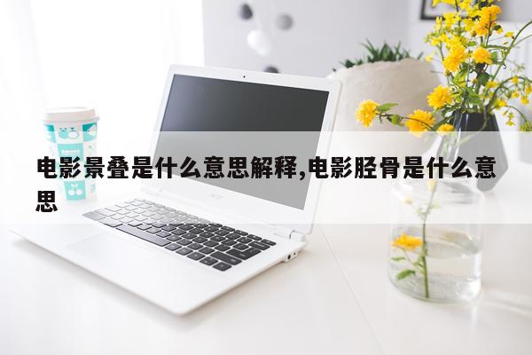电影景叠是什么意思解释,电影胫骨是什么意思
