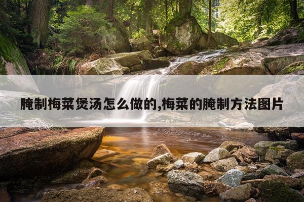 腌制梅菜煲汤怎么做的,梅菜的腌制方法图片