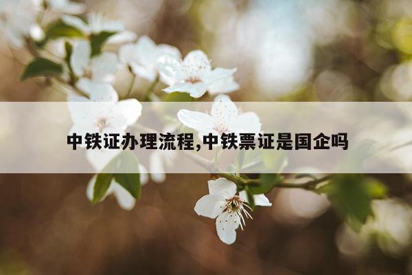中铁证办理流程,中铁票证是国企吗