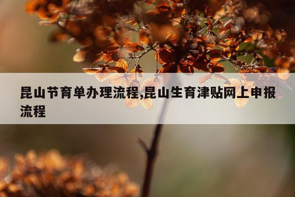 昆山节育单办理流程,昆山生育津贴网上申报流程