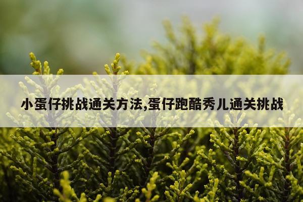 小蛋仔挑战通关方法,蛋仔跑酷秀儿通关挑战