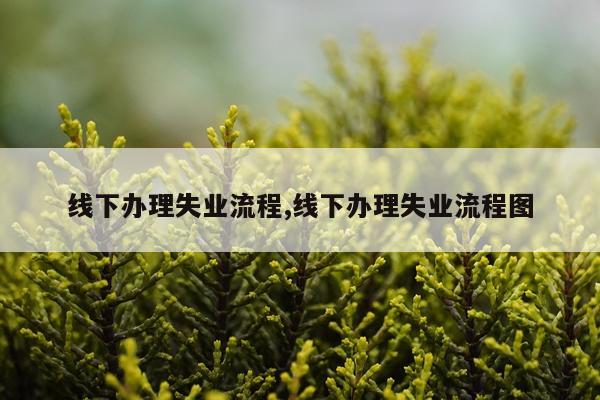 线下办理失业流程,线下办理失业流程图